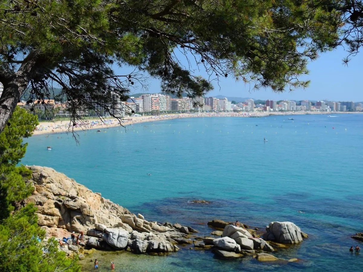 Apartment Rosita By Interhome Sant Antoni De Calonge Spain